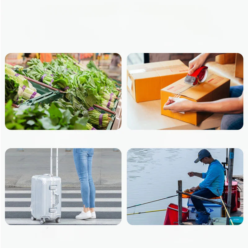 Pèse-Bagage Portable Inox 50 kg