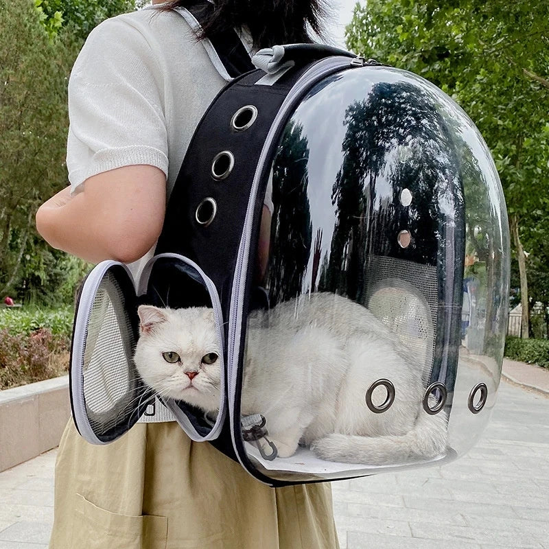 Sac à dos capsule transparent pour chats