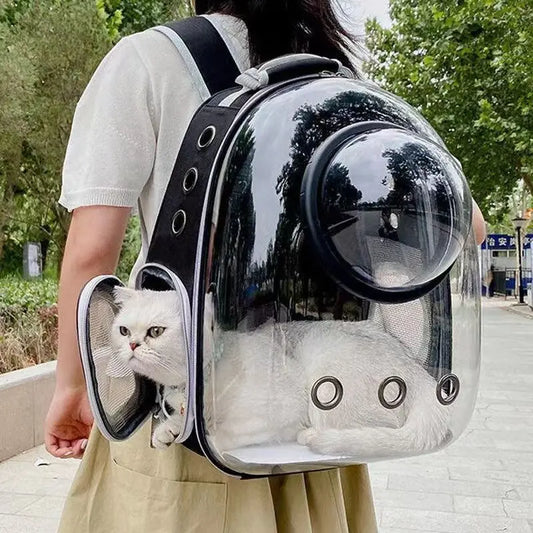 Sac à dos capsule transparent pour chats