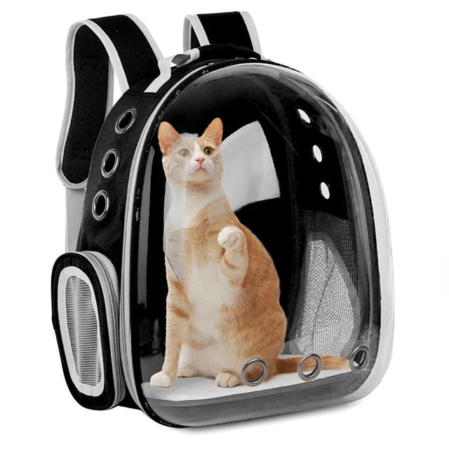 Sac à dos capsule transparent pour chats